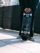 Globe Skateboards - Globe Skateboards - G1 | Natives