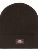 Dickies - Dickies - Gibsland | Brown